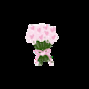 Meet your Posher, Safia